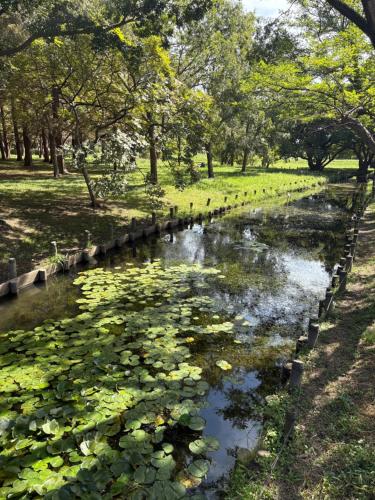 地下鉄駅徒歩5分 ディズニーDisneyバス 羽田空港 リムジンバス 築浅 水圧良 JAPAN STAY Pearl