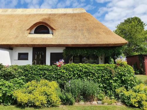 Reetdachhaus Schorsch in Börgerende-Rethwisch, Deutschland