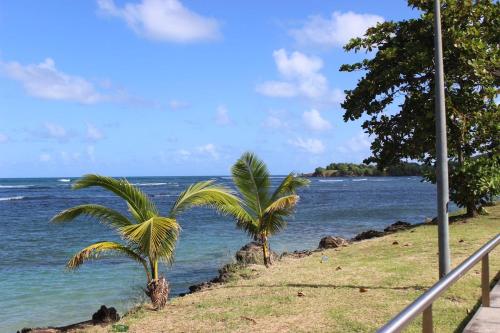 Tertu blue Caribbean house in La Trinite