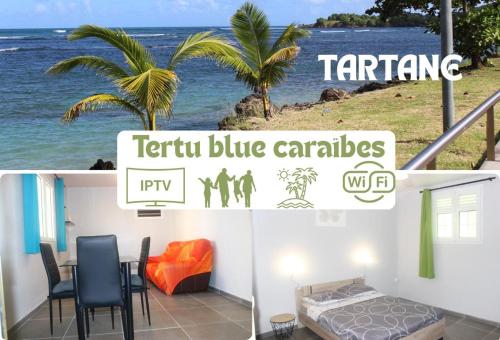 Tertu blue Caribbean house in La Trinite