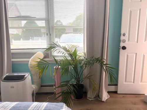 Bright Lavallette 2BR Private Yard Walk to Beach - image 2