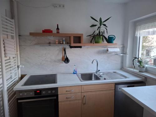 Konyha, Ferienwohnung Rose in Altenkunstadt