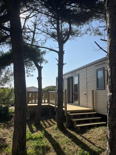 Bungalow neuf dans les dunes, acces direct a la plage in Dannes