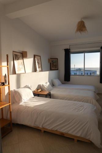 Olas Surf Camp 5