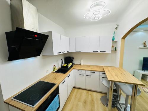 Luxury apartment VIENNA Airport Free PARKING in Schwechat