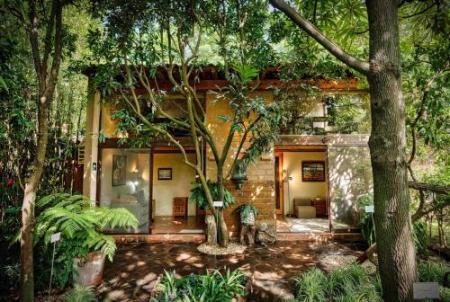 Casa navacoyan A in Malinalco