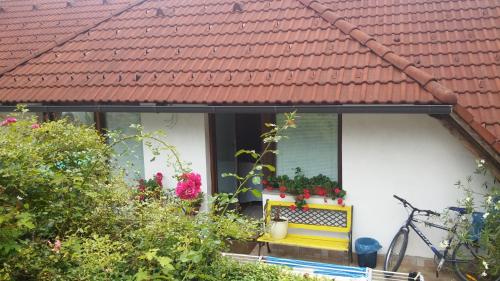 Darja Guesthouse - main image