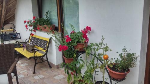 Darja Guesthouse - image 5