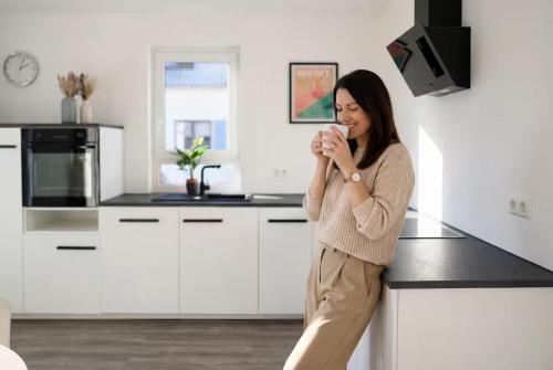 Iekārtas, Modernes 118qm Haus für Ferien und Arbeit (Modernes 118qm Haus fur Ferien und Arbeit) in Remchingen