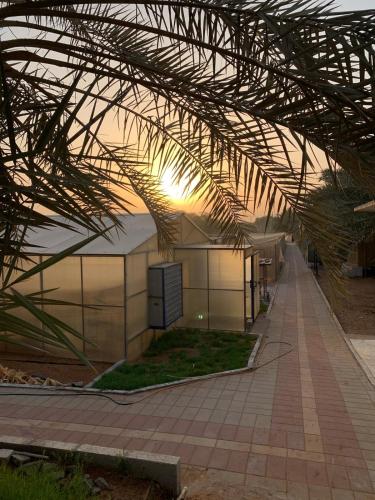 New 3bhk kidsplayground orchid farm resort farm house ras al khaima in Wadi Khadeja