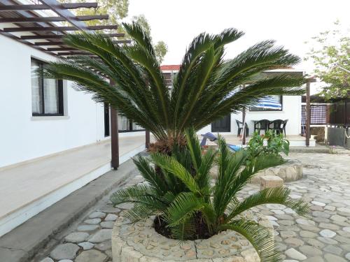 Dārzs, Hidden Cottage in Ozankoy