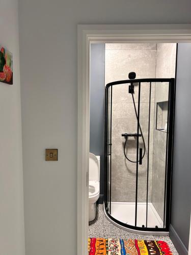 Large double room with a private bathroom in a quiet neighbourhood, Dublín (foto 3)