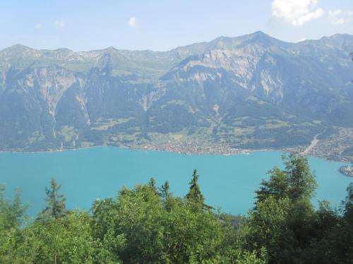 Hotel Brienzerburli - image 6