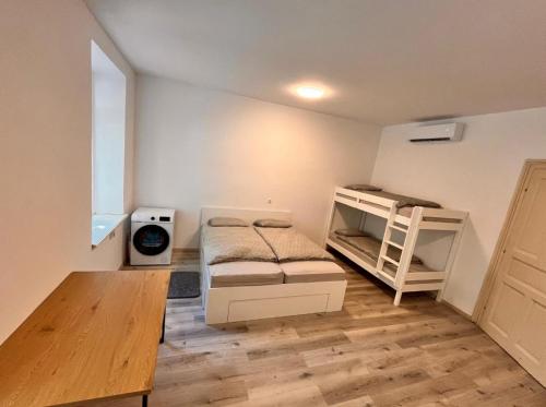 Apartment Bon Voyage II in Maribor