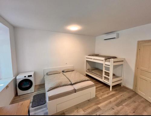 Apartment Bon Voyage II in Maribor