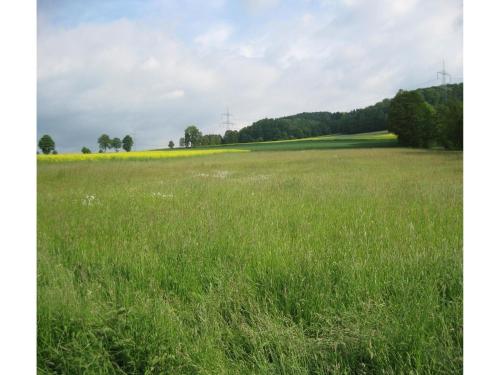 A környék, Ferienwohnung im Obergeschoss, Homberg in Homberg (Efze)