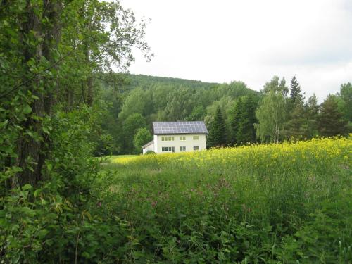A szálláshely kívülről, Ferienwohnung im Obergeschoss, Homberg in Homberg (Efze)