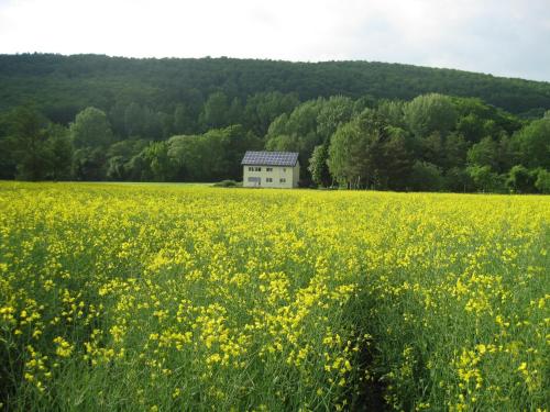 A szálláshely kívülről, Ferienwohnung im Obergeschoss, Homberg in Homberg (Efze)