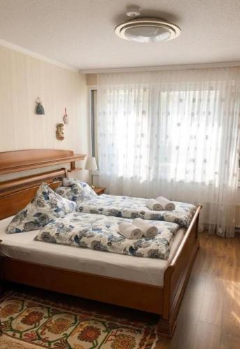 Guestroom, Schones Apartment mit Pool&Sauna in Bingen am Rhein