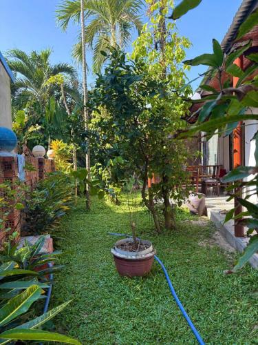 Ocean House An Bang - image 5