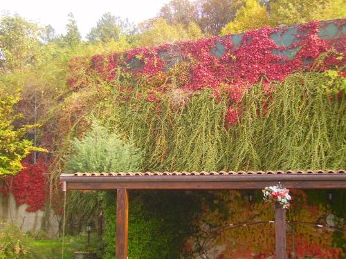 B&B Margherita Le Fiabe