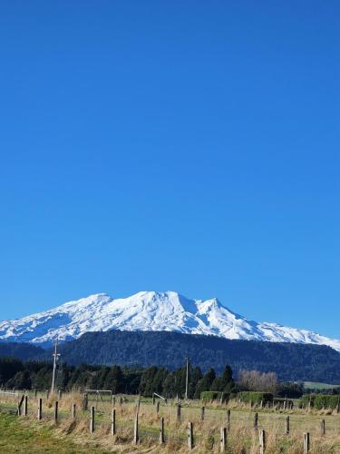 Ruapehu Farm Chalet