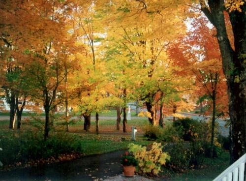 吉莱斯皮之家酒店 