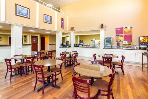 Quality Suites - image 7