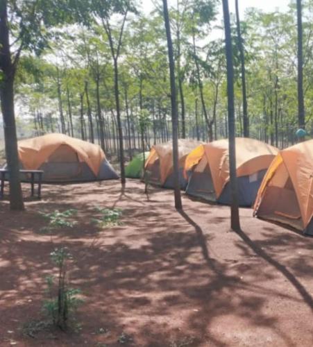 Nature yatra in Naringre