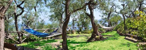 Hotel La Badia - image 7
