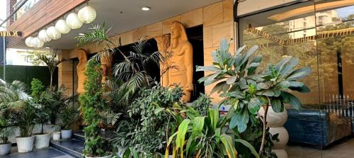 The Orchid Residency - Alwar