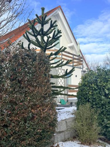 Im Feldle in Kirchheim am Ries