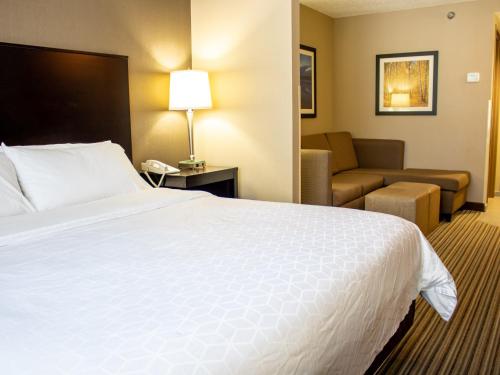 Holiday Inn Express & Suites Hayward an IHG Hotel - image 7