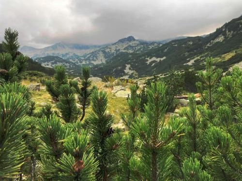 Ores Boutique Hotel – Bansko, NC