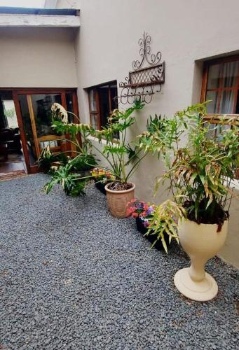 Karoo House Guesthouse in Somerset East