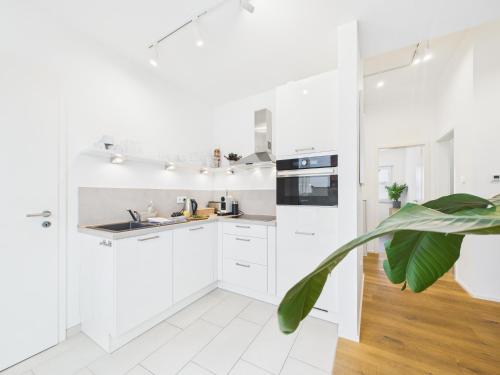 Létesítmények, KStay Apartment-Kombi im EG und DG für bis zu 8 Personen mit Dachterrasse, Parkplätzen, Smart-TVs (KStay Apartment-Kombi im EG und DG fur bis zu 8 Personen mit Dachterrasse, Parkplatzen, Smart-TVs) in Eltville am Rhein