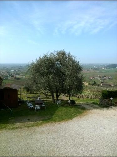  Il Castagneto in Teolo