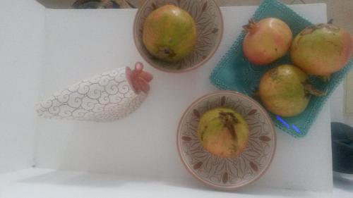 Hotel S'Ortale con Parcheggio interno e Ristorante all'aperto