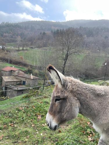 Gîte des Nicolaux (Gite des Nicolaux) in Gluiras