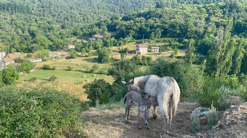 Gîte des Nicolaux (Gite des Nicolaux) in Gluiras