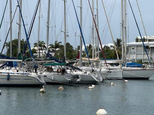 Suite Appart - Location saisonnière - Le Gosier