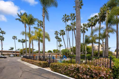 丘拉维斯塔帕尔梅拉斯酒店 (Hotel Palmeras Chula Vista) in 邱拉威斯塔(CA)