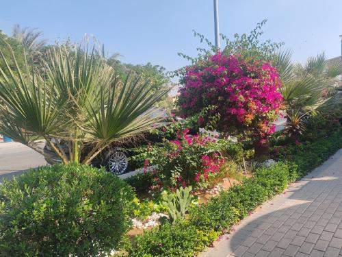 Royal Palazzo with private Pool and BBQ on Marina huge 7Bedroom Villa - main image