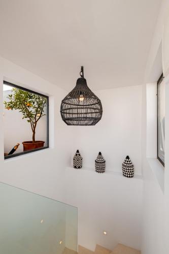 Riad Alaya - image 4