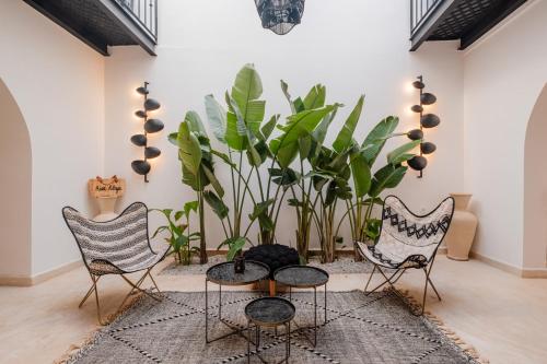 Riad Alaya - image 6