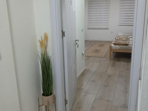 Apartman studio Ðorović 1 (Apartman studio Ðorovic 1) in Postenje