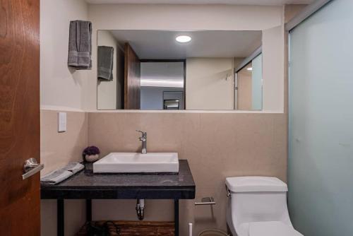 Charming condo with rooftop in Roma Norte - image 2