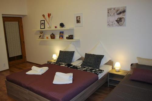 Spacious Prague View Apartment