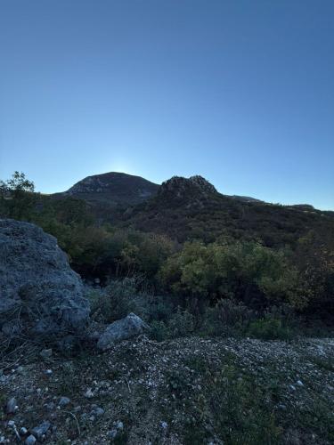 ZIS LUX Apartments in Utjeha