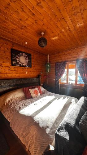 Gulta, APPLE Cabin - Little Log Cabin in Wales in Bettws Cedewain